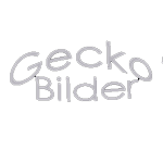 logotyp Gecko